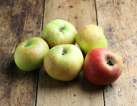 Bramley Cooking Apples, Organic (1kg)