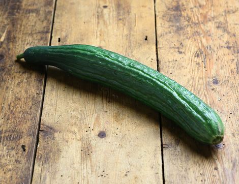Cucumber, Organic