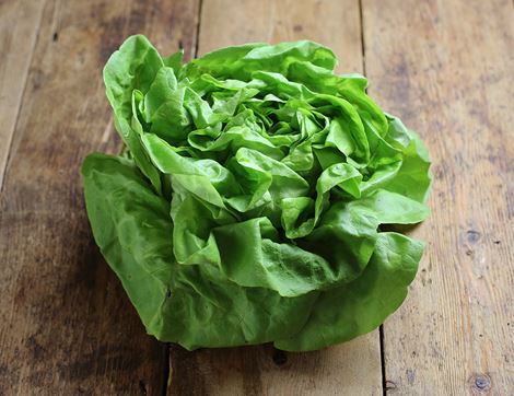 Green Lettuce, Organic (1 head)