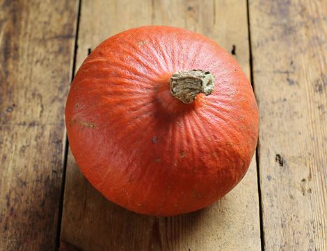 Red Onion Squash, Organic